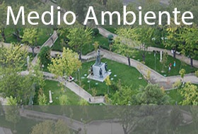 Medio Ambiente
